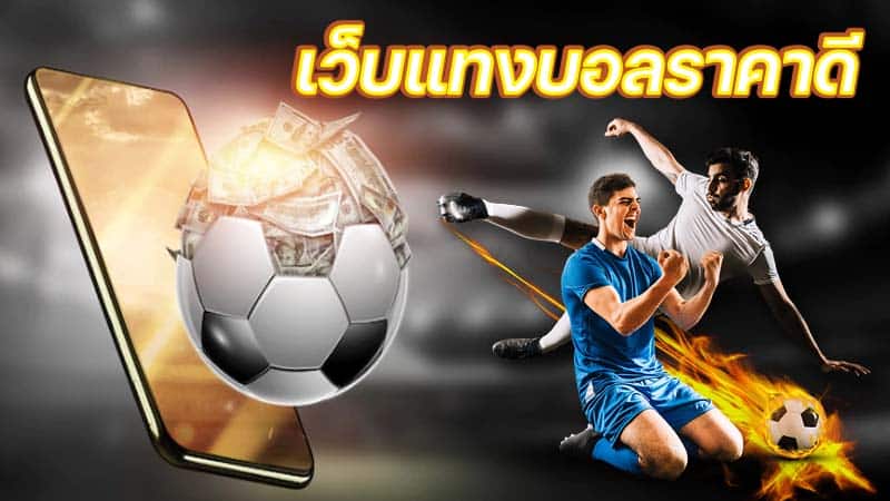 สมัครเว็บแทงบอลที่นี้