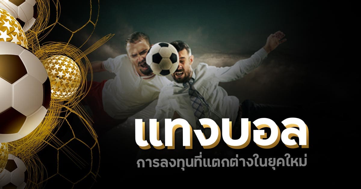 สมัครเว็บแทงบอลที่นี้